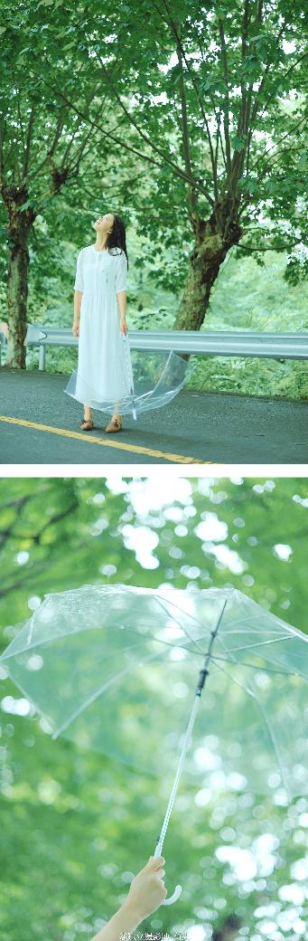 桔子在线观看免费高清电视剧完整版