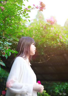 故乡别来无恙电视剧免费观看