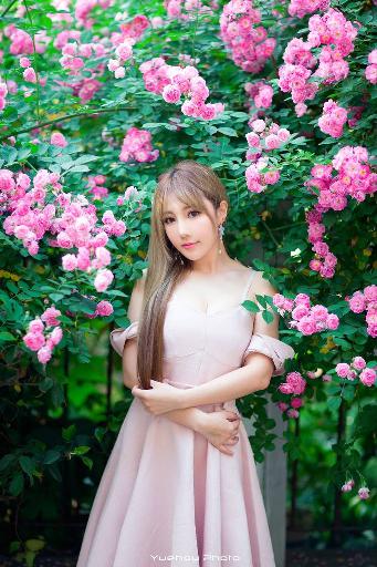 沧元图第二季在线完整免费观看