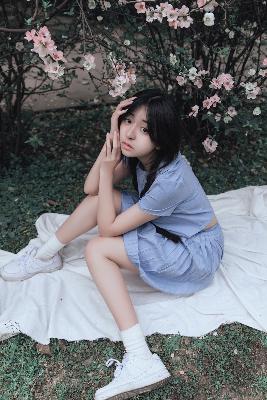 运钞大劫案2025在线观看免费版