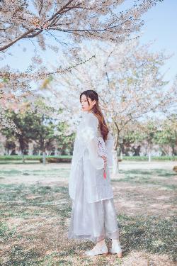 杨思敏版金瓶梅