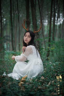 玫瑰的故事免费观看完整版