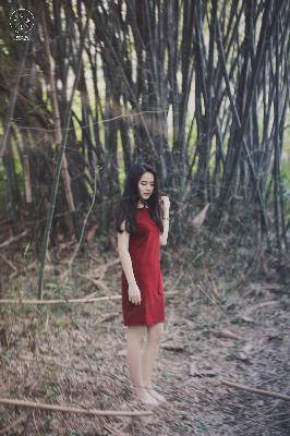 平凡的世界电视剧免费观看