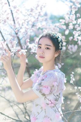 护心电视剧免费观看全集在线播放