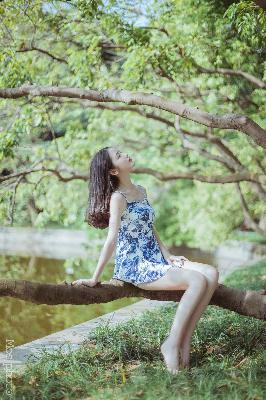 金太郎的幸福生活