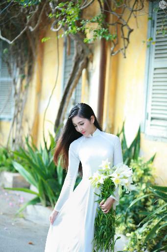 韶华若锦电视剧免费观看全集在线播放